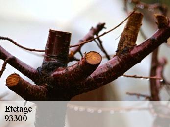 Etetage 93300