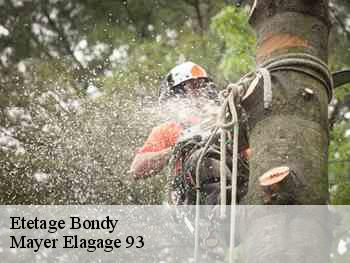 Etetage  bondy-93140 Mayer Elagage 93