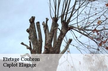 Etetage  coubron-93470 Caplot Elagage