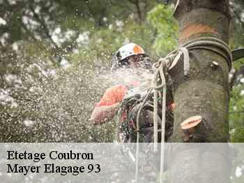 Etetage coubron-93470 Mayer Elagage 93