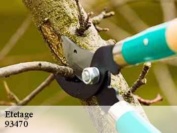 Etetage 93470