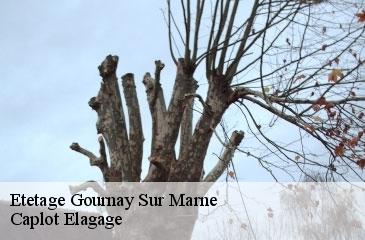 Etetage gournay-sur-marne-93460 Caplot Elagage
