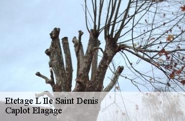 Etetage l-ile-saint-denis-93450 Caplot Elagage