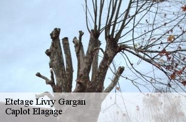 Etetage  livry-gargan-93190 Caplot Elagage