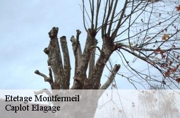 Etetage  montfermeil-93370 Caplot Elagage