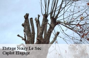 Etetage  noisy-le-sec-93130 Caplot Elagage