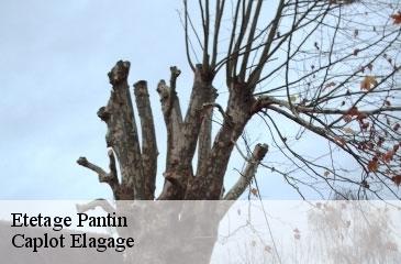 Etetage  pantin-93500 Caplot Elagage