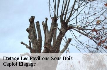 Etetage  les-pavillons-sous-bois-93320 Caplot Elagage