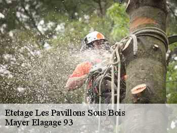 Etetage  les-pavillons-sous-bois-93320 Mayer Elagage 93