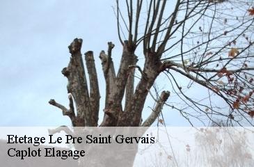 Etetage le-pre-saint-gervais-93310 Caplot Elagage