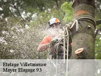 Etetage  villetaneuse-93430 Adolphe Elagage