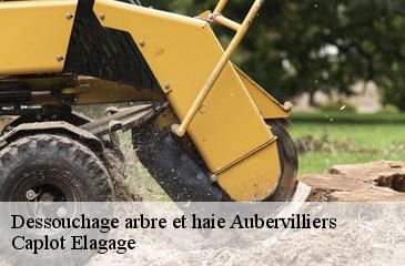 Dessouchage arbre et haie aubervilliers-93300 Caplot Elagage