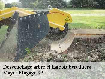 Déssouchage aubervilliers-93300 Adolphe Elagage