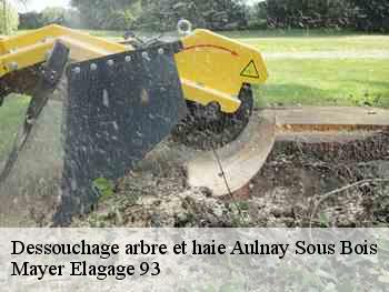 Dessouchage arbre et haie aulnay-sous-bois-93600 Mayer Elagage 93