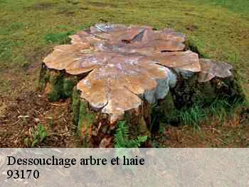 Dessouchage arbre et haie  93170