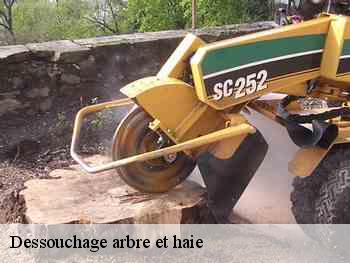 Dessouchage arbre et haie