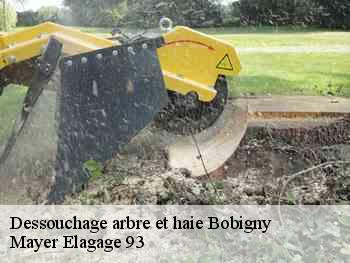 Dessouchage arbre et haie  bobigny-93000 Mayer Elagage 93