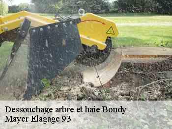 Dessouchage arbre et haie  bondy-93140 Adolphe Elagage