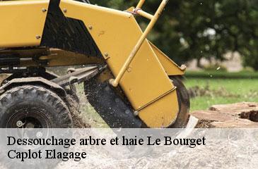 Dessouchage arbre et haie le-bourget-93350 Caplot Elagage
