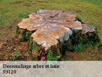 Dessouchage arbre et haie  93120