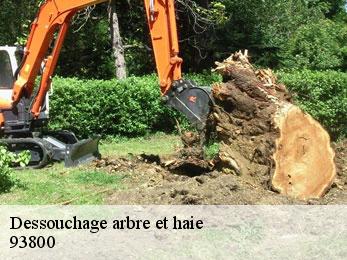 Dessouchage arbre et haie  93800