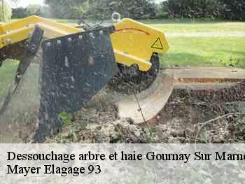 Dessouchage arbre et haie gournay-sur-marne-93460 Mayer Elagage 93