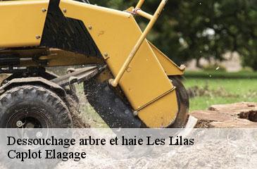 Dessouchage arbre et haie  les-lilas-93260 Caplot Elagage