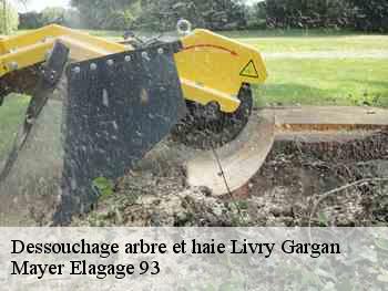 Dessouchage arbre et haie  livry-gargan-93190 Mayer Elagage 93
