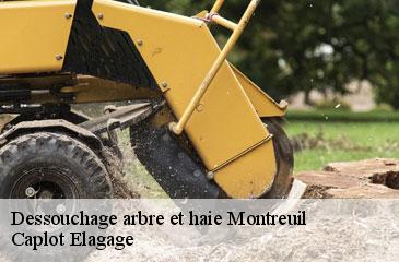 Dessouchage arbre et haie montreuil-93100 Caplot Elagage