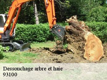 Dessouchage arbre et haie 93100