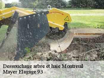 Dessouchage arbre et haie  montreuil-93100 Mayer Elagage 93