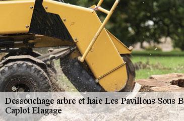 Dessouchage arbre et haie  les-pavillons-sous-bois-93320 Caplot Elagage