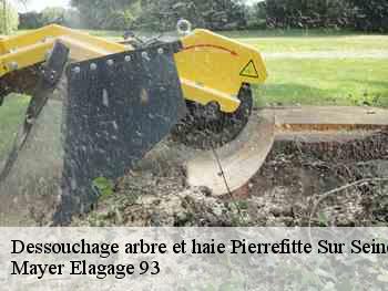 Dessouchage arbre et haie  pierrefitte-sur-seine-93380 Mayer Elagage 93