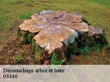 Dessouchage arbre et haie 93340