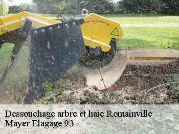Dessouchage arbre et haie  romainville-93230 Adolphe Elagage