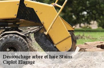 Dessouchage arbre et haie  stains-93240 Caplot Elagage