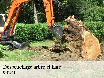 Dessouchage arbre et haie  93240