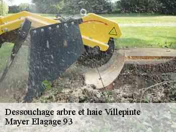 Dessouchage arbre et haie  villepinte-93420 Mayer Elagage 93