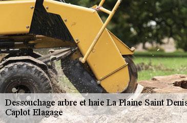 Dessouchage arbre et haie  la-plaine-saint-denis-93210 Caplot Elagage