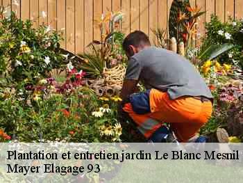 Plantation et entretien jardin  le-blanc-mesnil-93150 Adolphe Elagage