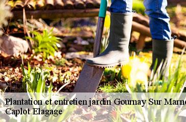 Plantation et entretien jardin  gournay-sur-marne-93460 Caplot Elagage