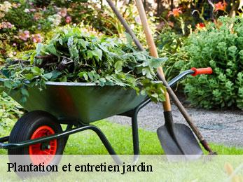 Plantation et entretien jardin