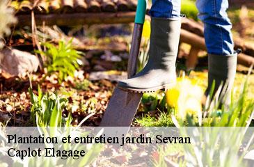 Plantation et entretien jardin  sevran-93270 Caplot Elagage