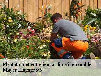 Plantation et entretien jardin  villemomble-93250 Mayer Elagage 93