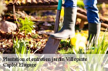 Plantation et entretien jardin  villepinte-93420 Caplot Elagage