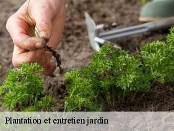 Plantation et entretien jardin