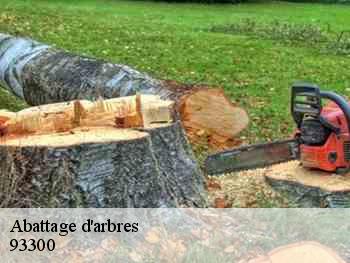 Abattage d'arbres  93300