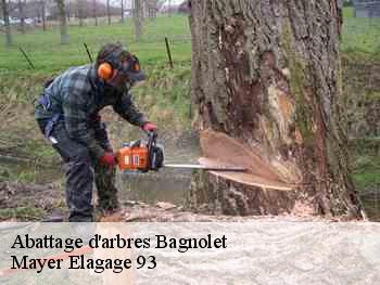 Abattage d'arbres  bagnolet-93170 Mayer Elagage 93