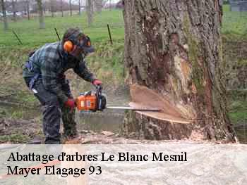 Abattage d'arbres  le-blanc-mesnil-93150 Adolphe Elagage