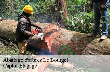 Abattage d'arbres le-bourget-93350 Caplot Elagage